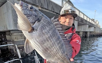 ボートからウキダンゴ釣りで51cm頭に良型クロダイ9匹！【愛知】温排水ポイント狙い撃ち