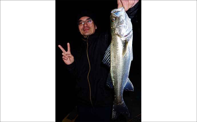 夜の堤防ルアー釣りで51cm良型シーバス好捕【四日市港・三重】カサゴは連発！