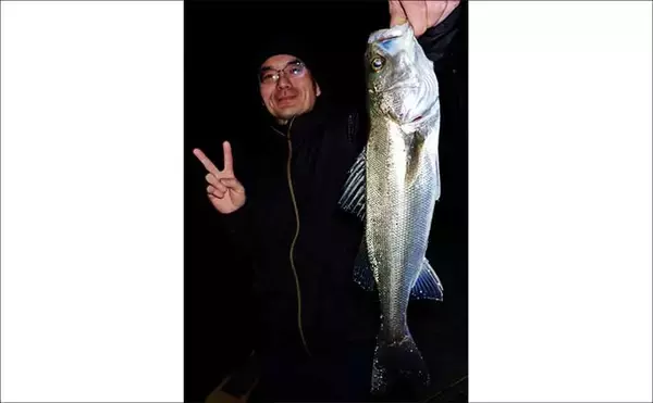 「夜の堤防ルアー釣りで51cm良型シーバス好捕【四日市港・三重】カサゴは連発！」の画像