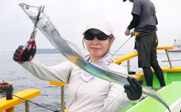 東京湾ルアータチウオ船でトップ36尾と数釣り達成！【渡辺釣船店・横浜】