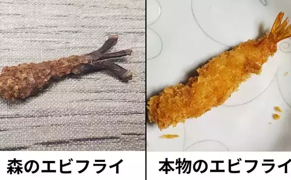 「リスが作った天然ルアー「森のエビフライ」で釣りしてみた　狙い通りキジハタがヒット！」の画像
