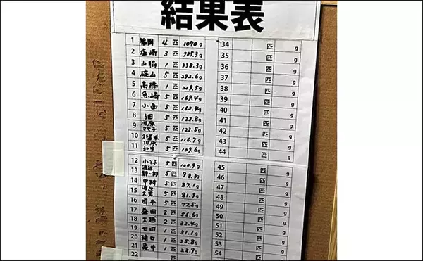 「アジング淡路島大会予選で32cm尺超えアジ手中　まさかの1位通過に驚き」の画像