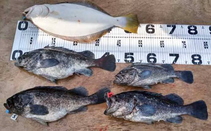 泳がせ船でハタ混じりにヒラメ好調　【愛知県】の沖釣り最新釣果情報