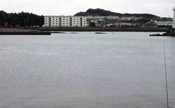 「チョイ投げキス釣りで18cm頭に本命4匹【和歌山】キスの動き出し確認で今後に期待」の画像