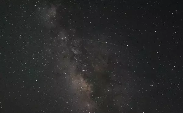 「日本人宇宙飛行士と宇宙に行ったメダカたち　実験の歴史と帰還後の様子とは？」の画像