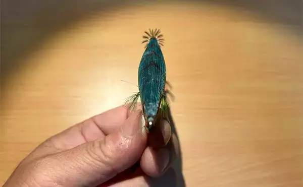 「「エギの羽ってなんのためにあるの？」 釣果に与える影響と破損防止策を解説」の画像