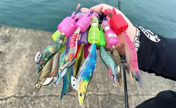 「「エギの羽ってなんのためにあるの？」 釣果に与える影響と破損防止策を解説」の画像