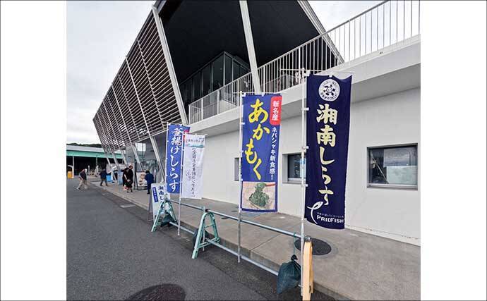 大磯港の五目釣りでクロサギやアイゴをキャッチ【神奈川】夫婦でのんびり港グルメも満喫