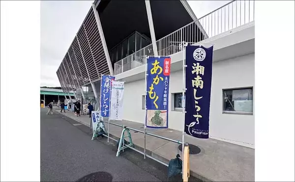 「大磯港の五目釣りでクロサギやアイゴをキャッチ【神奈川】夫婦でのんびり港グルメも満喫」の画像