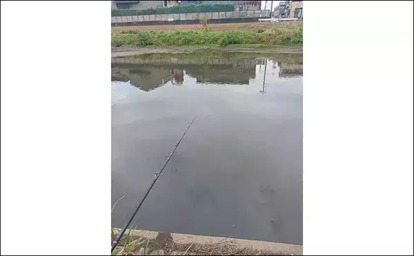 「スプーンを巻くだけでブラックバス6匹釣れた！【埼玉・古利根川】秋は巻きで釣れ」の画像