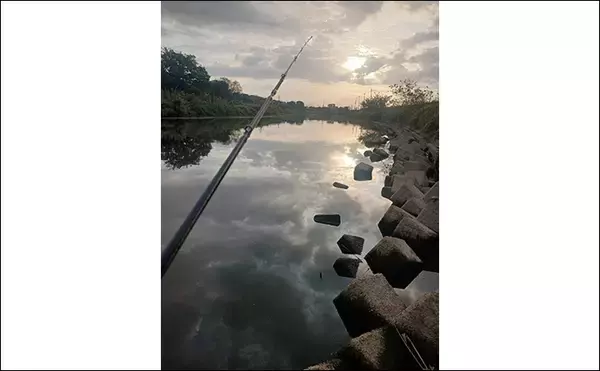 「スプーンを巻くだけでブラックバス6匹釣れた！【埼玉・古利根川】秋は巻きで釣れ」の画像