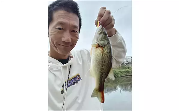 「スプーンを巻くだけでブラックバス6匹釣れた！【埼玉・古利根川】秋は巻きで釣れ」の画像