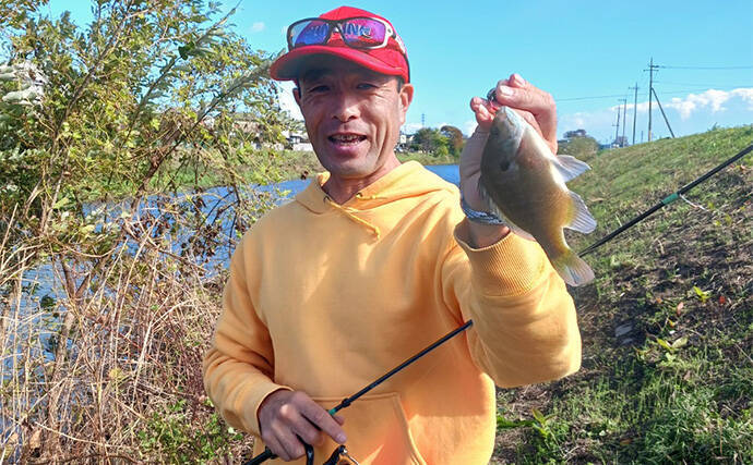 スプーンを巻くだけでブラックバス6匹釣れた！【埼玉・古利根川】秋は巻きで釣れ