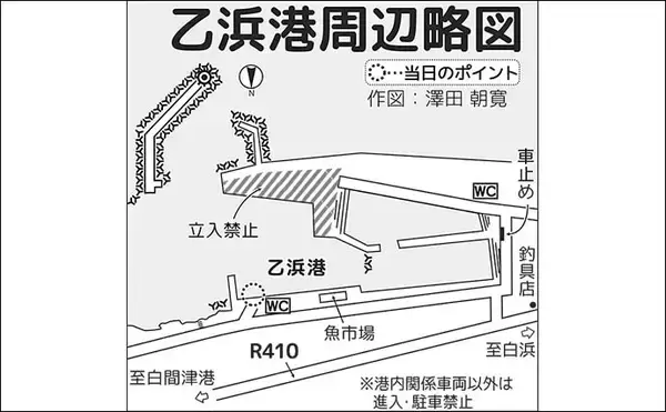 「「クロダイ不発もサビキ釣りで好転！」乙浜港でウルメイワシ連続ヒット【千葉】」の画像