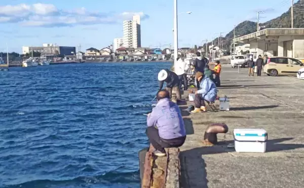 「「クロダイ不発もサビキ釣りで好転！」乙浜港でウルメイワシ連続ヒット【千葉】」の画像