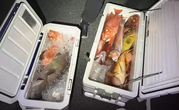 「スロージギング＆タイラバ釣行で高級魚乱舞！【山口】クーラーボックスは満タンに」の画像