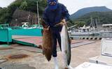 「17kgヒラマサ獲った！平戸沖ジギングでヒット【沖釣り釣果速報6選・長崎／佐賀】」の画像3