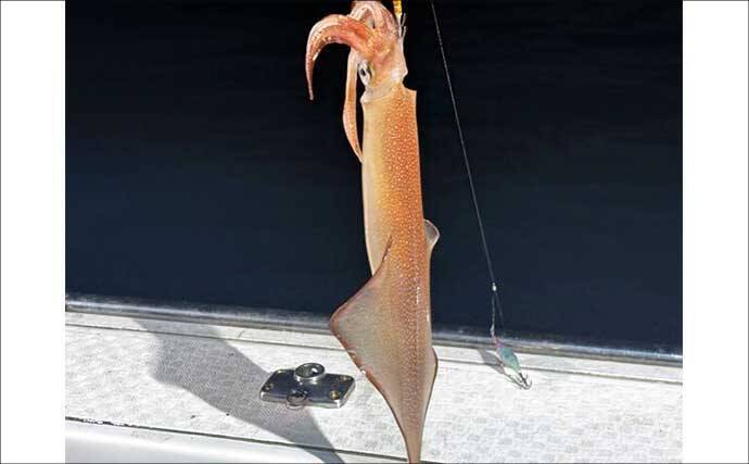 17kgヒラマサ獲った！平戸沖ジギングでヒット【沖釣り釣果速報6選・長崎／佐賀】