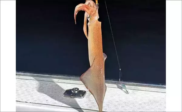 「17kgヒラマサ獲った！平戸沖ジギングでヒット【沖釣り釣果速報6選・長崎／佐賀】」の画像