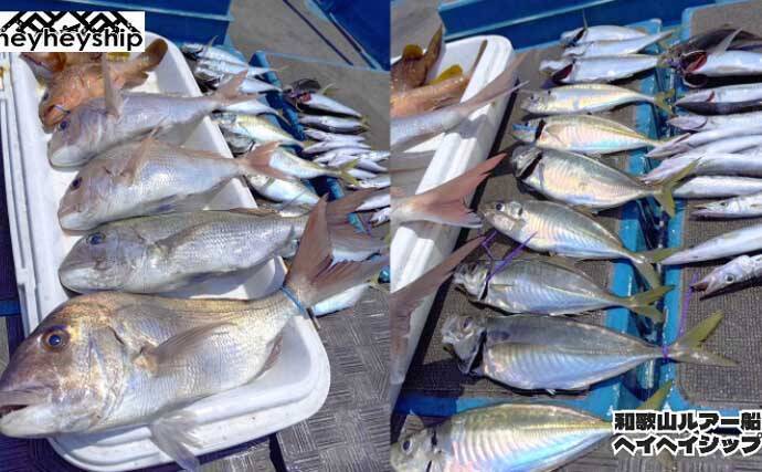 明石沖でマダコ好調！2kg超えを筆頭にお土産十分　関西エリアの【船釣り特選釣果7選】