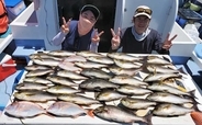 【愛知】沖のエサ釣り最新釣果　イサキ・キス・カワハギが数釣り好機