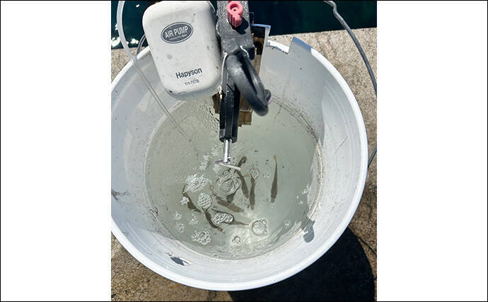 ヤエン釣り入門＆ステップアップしたいなら秋が断然オススメなワケ