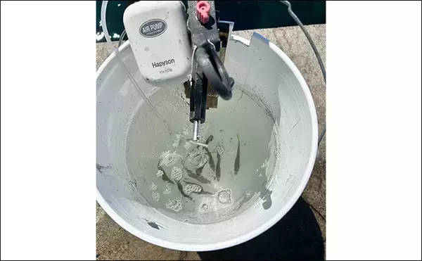 「ヤエン釣り入門＆ステップアップしたいなら秋が断然オススメなワケ」の画像