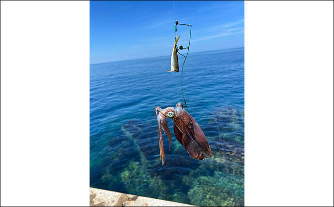 ヤエン釣り入門＆ステップアップしたいなら秋が断然オススメなワケ