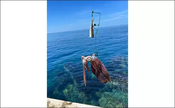 「ヤエン釣り入門＆ステップアップしたいなら秋が断然オススメなワケ」の画像