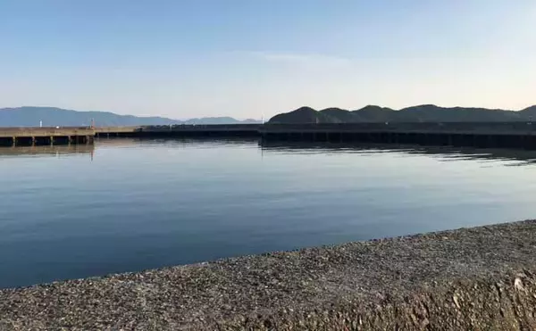 「「真冬はアナゴのブッコミ釣りがオススメ！」なワケ　釣り場の選び方も解説」の画像