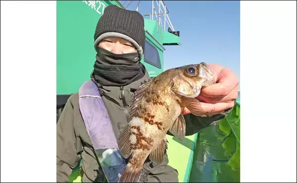 「東京湾のカサゴ＆メバル釣りで本命連発【浦安・吉野屋】25cm超え良型交じり船中好反応」の画像