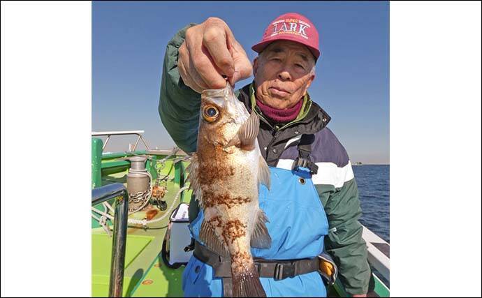 東京湾のカサゴ＆メバル釣りで本命連発【浦安・吉野屋】25cm超え良型交じり船中好反応
