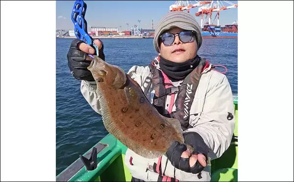 「東京湾のカサゴ＆メバル釣りで本命連発【浦安・吉野屋】25cm超え良型交じり船中好反応」の画像