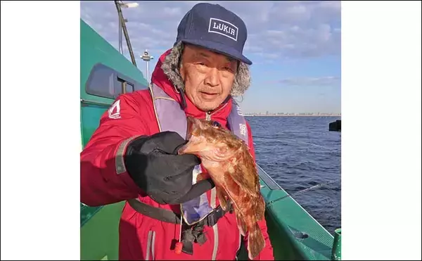 「東京湾のカサゴ＆メバル釣りで本命連発【浦安・吉野屋】25cm超え良型交じり船中好反応」の画像