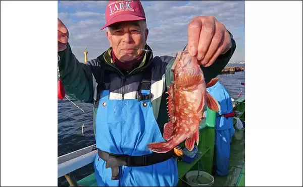 「東京湾のカサゴ＆メバル釣りで本命連発【浦安・吉野屋】25cm超え良型交じり船中好反応」の画像