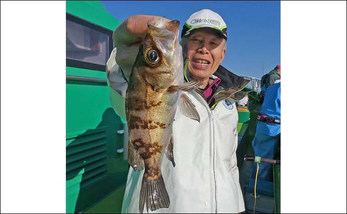 東京湾のカサゴ＆メバル釣りで本命連発【浦安・吉野屋】25cm超え良型交じり船中好反応