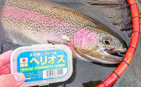 「まもなく本格解禁！」本流釣り入門解説　広大な流れから価値ある1尾を探し出す