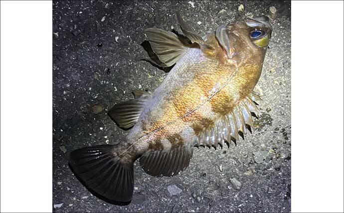 「水温一桁台の海は厳しい！」釣りのオフシーズンに釣り人がやっていることとは？