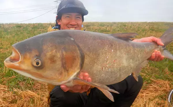 ハクレン釣りシーズンが開幕！常陸利根川で85cm級ハクレン2尾をキャッチ【茨城】
