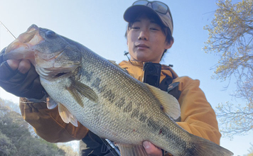 シーズン初釣行で50cm級ブラックバス連続キャッチに成功！【入鹿池・愛知】