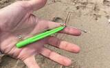 「サーフでの投げ釣りで21cm良型シロギスをキャッチ！【香良洲海岸】波打ち際でヒット」の画像3