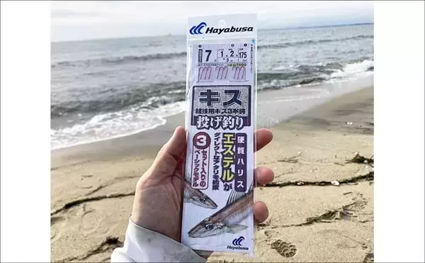 「サーフでの投げ釣りで21cm良型シロギスをキャッチ！【香良洲海岸】波打ち際でヒット」の画像