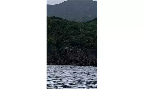 「初めての「ボートヤエン釣り」でアオリイカ4杯【三重・南伊勢】3kg超えバラしに涙」の画像