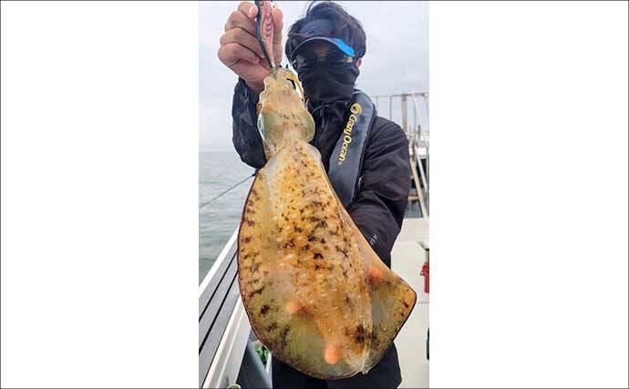 【沖のルアー釣果速報】ボートルアー便で50cm良型キジハタを頭にヒラメ・マゴチ・シーバス手中（愛知）