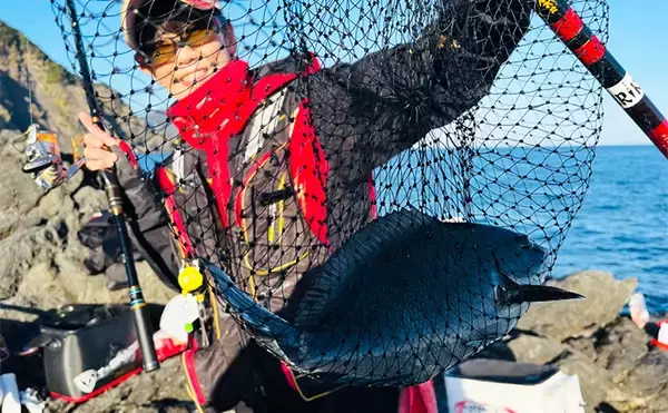 沖磯フカセ釣りで37cmクロを好捕！【大分・大和丸】30cm級クロは入れ食い