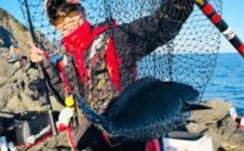 沖磯フカセ釣りで37cmクロを好捕！【大分・大和丸】30cm級クロは入れ食い