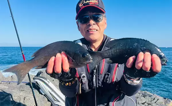 「沖磯フカセ釣りで37cmクロを好捕！【大分・大和丸】30cm級クロは入れ食い」の画像