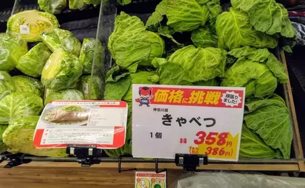 「「野草採りのシーズン到来！」 毒草の勉強をして荒川河川敷でセリとクレソンを採取成功」の画像