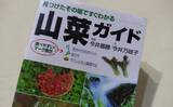 「「野草採りのシーズン到来！」 毒草の勉強をして荒川河川敷でセリとクレソンを採取成功」の画像3