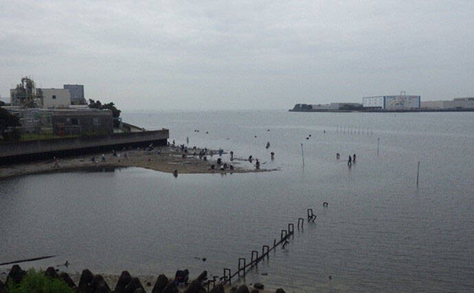 「いよいよ最盛期到来！」東京湾奥潮干狩りで大型ホンビノス貝・アカニシ貝・ハマグリをゲット
